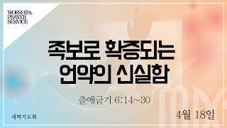 목동제일교회 새벽기도회실황_4월 18일_LIVE