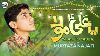 Ghadeer Special Manqabat 2023 : Ya Ali a.s Maula | Murtaza Najafi | MAK Production