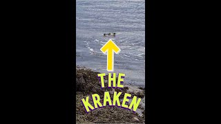 The kraken legendary sea monster of gigantic size CAUGHT ON CAMERA! OMG!