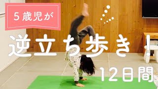 5歳児が逆立ち歩きを練習した12日間の記録（未達成）