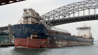 Bulk Carrier ALGOMA INNOVATOR 🇨🇦 sailing out of Hamilton Harbour September 22, 2024