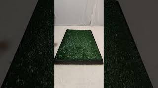 When you’re potty training, try this Artificial Grass Potty Mat#shorts #pets #puppy