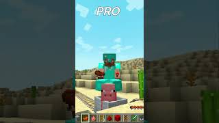 NOOB VS PRO  #shorts #minecraft