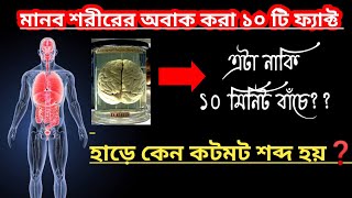 শরীর সম্পর্কিত হুশ উড়িয়ে দেওয়ার মতো ১০ টি তথ্য ।।10 amazing facts about the human body in bengali