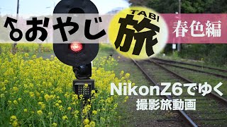 【旅カメラ📸こんな日帰り旅動画いかがすか❓】#大人の休日#ひとりの時間#菜の花#春を追いかけて