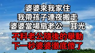 婆婆來我家住，我帶孩子連夜搬走，婆婆當場扇老公一耳光，不料老公隨後的舉動，下一秒婆婆徹底傻了【煙雨夕陽】#為人處世 #爽文 #情感故事 #深夜讀書 #幸福人生