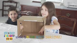 Zoe and Zach! Coolkidstv! What's in the box challenge!