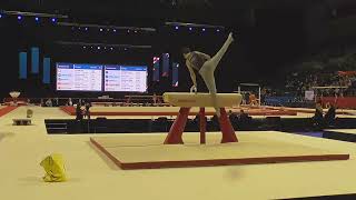 Gabriel Langton - BRONZE -Pommel-MAG U16 AA-2022 British Gymnastics Championships