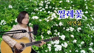 찔레꽃(가을밤)/이연실 cover by채정숙