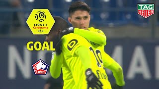 Goal Luiz ARAUJO (90' +3) / SM Caen - LOSC (1-3) (SMC-LOSC) / 2018-19