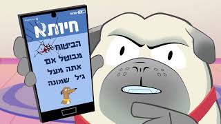 ביטוח לכלבים מבוגרים | חיותא