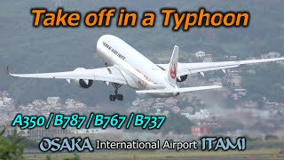 4K 台風9号通過時の伊丹空港 横風離陸 11機連発強風テイクオフ｜Osaka Intn' Airport (ITAMI) Typhoon No9 Crosswind Takeoff