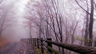 霧の三毳山 (みかも山公園) ハイキング Walk In The Fog \