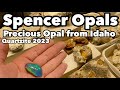 Spencer Opal from Idaho w/ Leo Haight Quartzite Gem and Mineral Show 2023