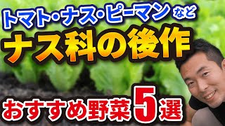 【トマト・ナス・ピーマン】の後作おすすめ野菜【5選】