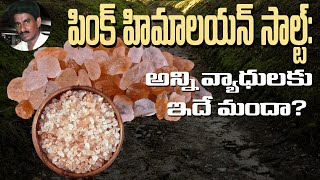 పింక్ హిమాలయన్ సాల్ట్ నే ఎందుకు వాడాలి?-Himalayan Salt vs Sea salt