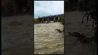 పించా వాటర్ ఫ్లో ఫ్లోయింగ్ #annamayyadistrict #collector #heavy #water #dam #rain