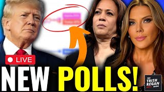 BREAKING: New Polls Showcase Shocking NEW WARNING for Kamala!