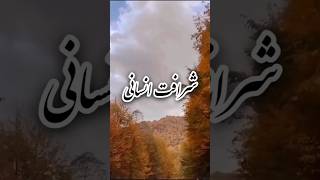 آدم باید شرافت انسانی داشته باشه 😍👌اگر با حرفاش موافقی لایک کن 🙏#خدا#شرافت#❤️🤩