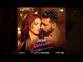 jaanam full audio song bad newz vicky k tripti dimri vishal mishra new song 2024