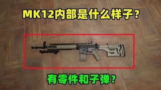 Peace Elite: What does the interior of the MK12 look like? Are there parts and bullets?