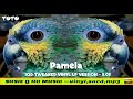 Toto' - Pamela 1988  -q26 OKK TWEAKED VINYL LP VERSION   5m 03s