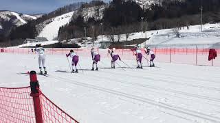 女子スプリント決勝1.2km(スタートのみ) 南原コース クロスカントリースキー 2018年度全関西スキー選手権大会