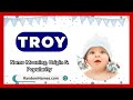 Troy - Baby Boy Name Meaning, Origin & Popularity - RandomNames.com