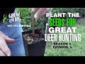 Plant the Seeds for Great Hunting With Chestnut Trees