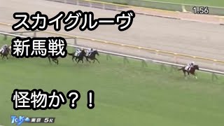 スカイグルーヴ新馬戦