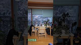 #눈오는날