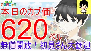 【あつ森】カブ価620ベルを無償開放。往復OK！カブ活しましょう！【あつまれどうぶつの森】【ライブ配信】