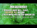 배추결구의 원리는 결구원리에 따른 김장배추 결구 촉진 방법 with clova dubbing