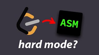 i tried LeetCode in assembly