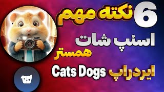 ۶ نکته مهم برای اسنپ شات همستر کامبت | همستر مثل داگز میشه | ایردراپ Cats dogs