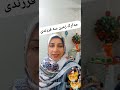 زمین رایگان سه فرزندی به تمام افرادی که فرزند سوم آنها زیر 2 سال است تعلق میگیرد