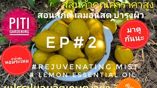 EP#2 วิธีสกัดน้ำมันหอมระเหยจากเลมอนด้วยไอน้ำ