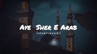 AYE SHER-E-ARAB BAZU E ARAB SLOWED REVERB/ALI YA ALI MANQABAT 2024
