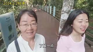 云南旅游，西双版纳野象谷，坐索道，走木栈道。看大象表演。