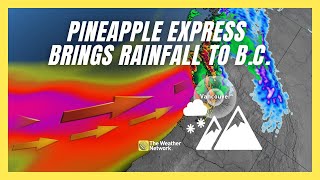 Pineapple Express Brings High Rainfall Totals for B.C.