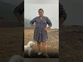 bharti singh in short dress looks cute shorts youtubeshorts bharti_singh