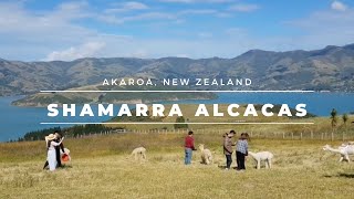 SHAMARRA Alpacas farm, Akaroa New Zealand