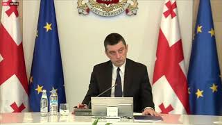ეკატერინე ტიკარაძე 2020 წლის სახელმწიფო ბიუჯეტის თემაზე