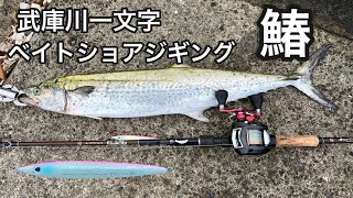 ベイトショアジギングでサワラがキター！！【秋の武庫川一文字 青物シーズン開幕】