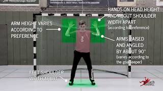 Handball Goalkeeper Training - Basic Position - Technique explanation -