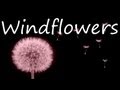 Seals & Crofts -  Windflowers (Lyrics)