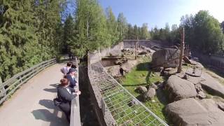 Ähtäri Zoo Timelapse HD