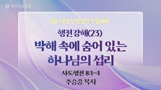 [주일2부예배] 행전강해(23) 박해 속에 숨어 있는 하나님의 섭리 I 사도행전 8:1-4 I 주승중 목사 I 2024.8.18