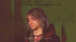 Happy Birthday Kurt Cobain