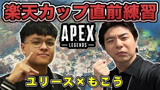 楽天カップ直前のユリースとのAPEXまとめ【2024/12/18】